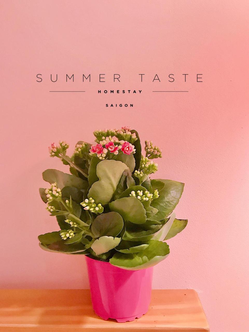 Summer Taste Homestay Ho Chi Minh Zewnętrze zdjęcie